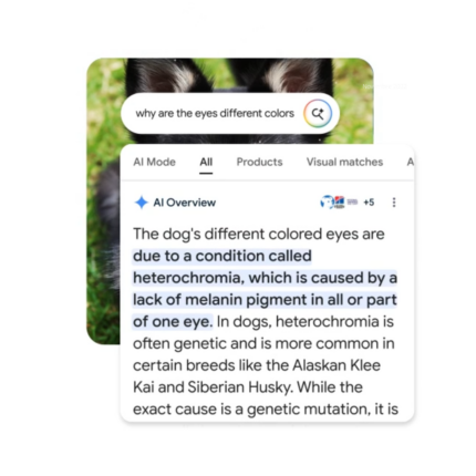 Ask questions in any way
Whether you’re using text, voice, or an image, you'll get relevant, reliable AI responses with links to dig deeper.